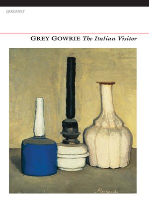 cover image of The Italian Visitor